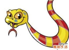 梦见很多蛇怎么回事，做梦梦到养了很多蛇