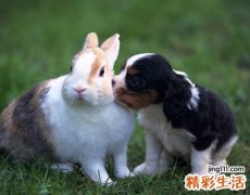 好听有个性的时尚微信名