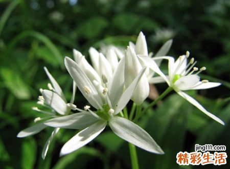 好听好记魅力十足的微信网名