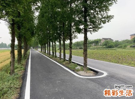 梦见路断了无法前行，梦到路断了有什么预兆