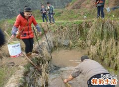 梦见在河沟里捉鱼，女人梦见自己捉鱼