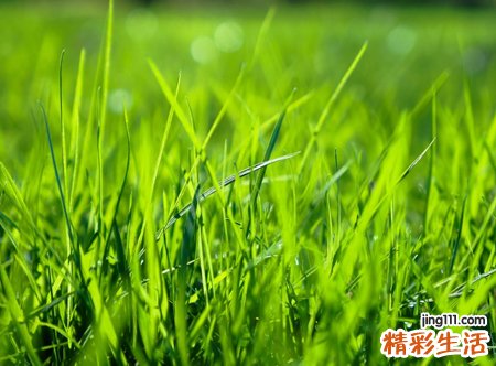 带夏字的网名，带有夏字的唯美微信昵称