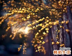 好听的抖音搞笑网名大全