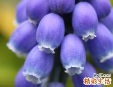好听的qq长网名大全