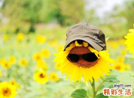 容嬷嬷专属好听好记的诗意网名