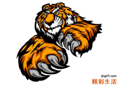 梦见老虎说明啥，做梦梦到自己被老虎追到房梁上
