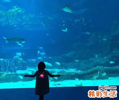 做梦梦见鱼在天上飞好吗，做梦梦到鱼在半空中飞