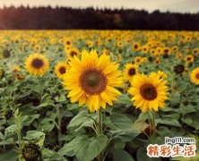 个性潮流的微信网名大全