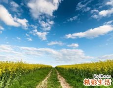 心情失落的微信网名大全