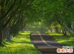 霸气十足的2个字网名大全