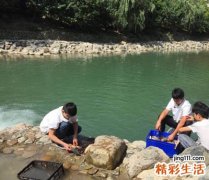 梦见抓鱼说明啥，做梦梦到在水里抓鱼时鱼咬人