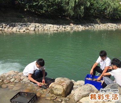 梦见抓鱼说明啥，做梦梦到在水里抓鱼时鱼咬人