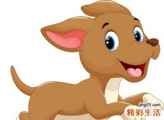 梦见喂狗好吗，做梦梦到给很饿的狗喂东西