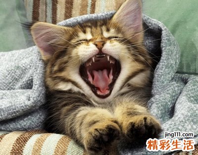 伤感非主流另类微信网名
