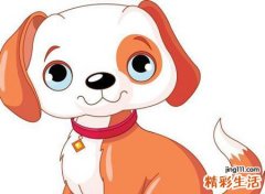 梦见狗咬有什么预兆，做梦梦到自家的狗咬着我的手指不放