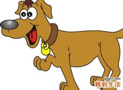 梦见狗屎好吗，做梦梦到狗屎在自己被子上