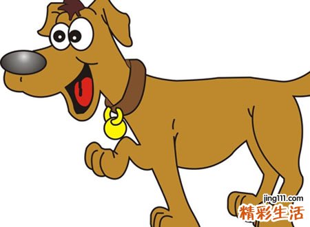 梦见狗屎好吗，做梦梦到狗屎在自己被子上