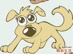 梦见被狗咬预示什么，做梦梦到鞋子被狗咬破了