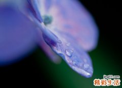 好听的一个人微信网名