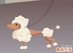 梦见狗咬有什么预兆，做梦梦到去邻居家玩耍被狗咬着不放