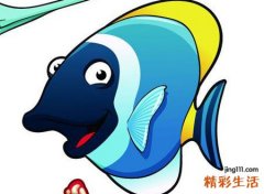 梦见死鱼预示什么，做梦梦到捉了一条大鱼看见很多死鱼