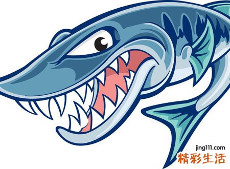 梦见大鳄鱼好吗，做梦梦到大鳄鱼吃小鳄鱼