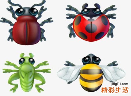 梦见虫子预示什么，女性梦见黑色硬壳虫