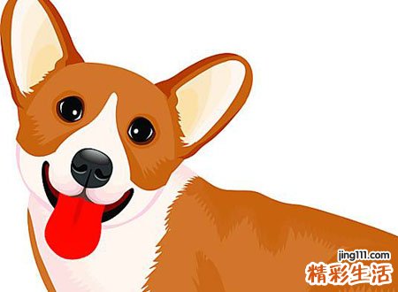 梦见被狗咬手好吗，做梦梦到被狗咬手了没流血