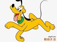梦见狗咬狗好不好，做梦梦到狗咬狗都被咬死了
