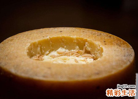 梦见蛆虫好不好，做梦梦到很多蛆虫到处爬
