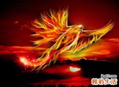 梦见凤凰好不好，做梦梦到凤凰朝自己飞过来