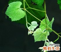 三个字的男生qq网名