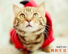 悲伤一点的伤感快手网名