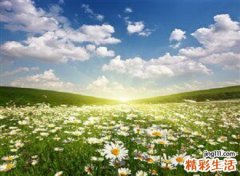 梦见秃顶是好是坏，做梦梦到照镜子突然发现自己秃顶了