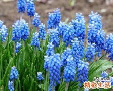 委屈受苦的伤感网名，心累了的伤感微信昵称