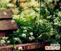 痛苦的qq网名