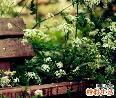 痛苦的qq网名