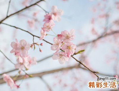 搞笑霸气网名，qq网名大全搞笑霸气版