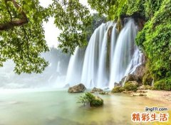 梦见老虎是好事吗，做梦梦到自己和兄弟一起上山打老虎