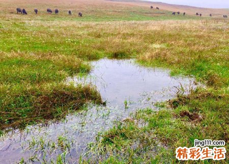 梦见下雨涨水有什么寓意，女人梦见河里涨水