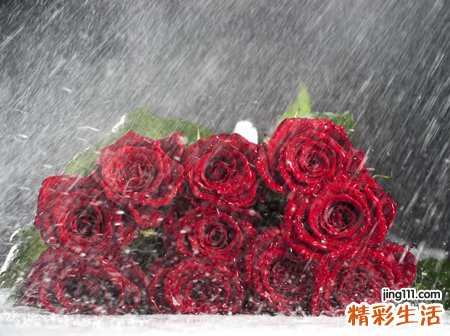 新时代网络最火的微信名
