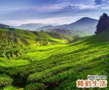 2个字的男生简单微信网名