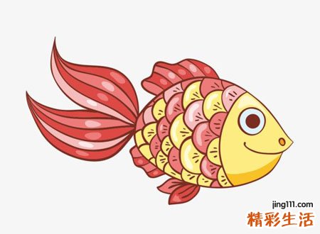梦见大鱼怎么回事，做梦梦到一条大鱼跳到我手上