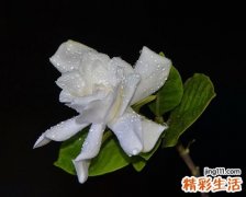 经典流行长网名大全
