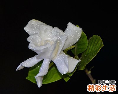 经典流行长网名大全