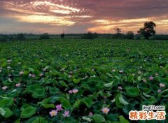 梦见太平间里阴森恐怖，做梦梦到自己误入太平间