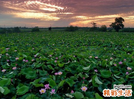 梦见太平间里阴森恐怖，做梦梦到自己误入太平间