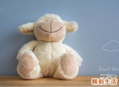 萝卜头有点意思的花椒网名大全