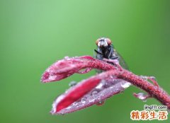 梦见被大雨淋湿在雨中瑟瑟发抖，做梦梦到倾盆大雨淋湿自己