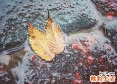 梦见暴风雨袭击了村庄，梦到躲避暴风雨